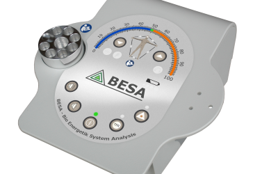 Mit BESA in die energieinformative Grundregulation